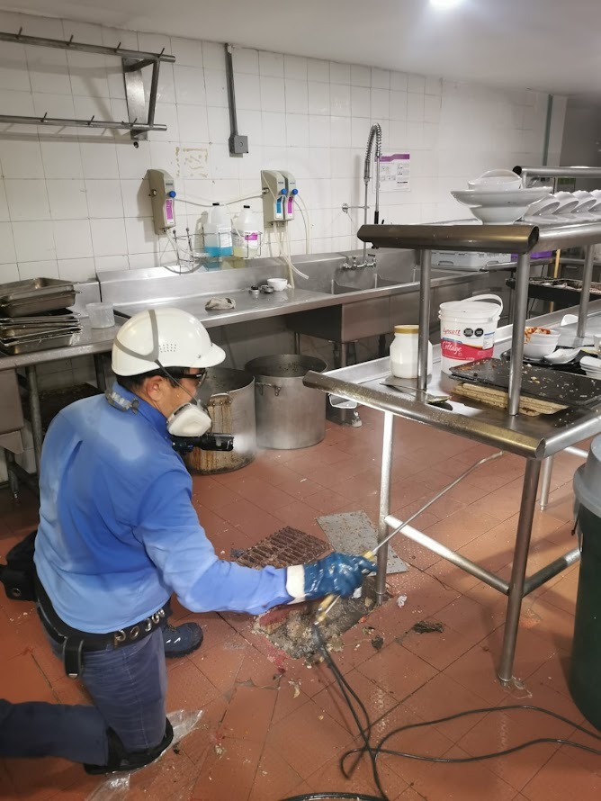 Control de Plagas en Oficinas y Corporativos